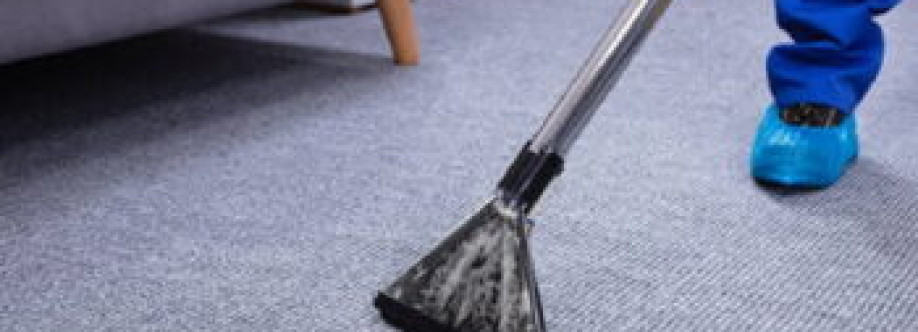 ﻿Are Professional Carpet Cleaning Services Safe for Antique Rugs?