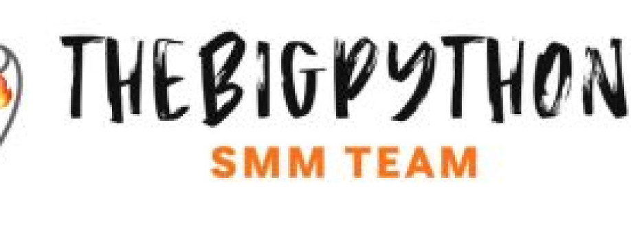 Main Reliable SMM Provider