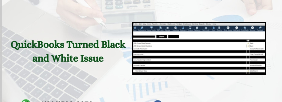 QuickBooks Turned Black and White Issue