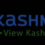 View Kashmir Travels