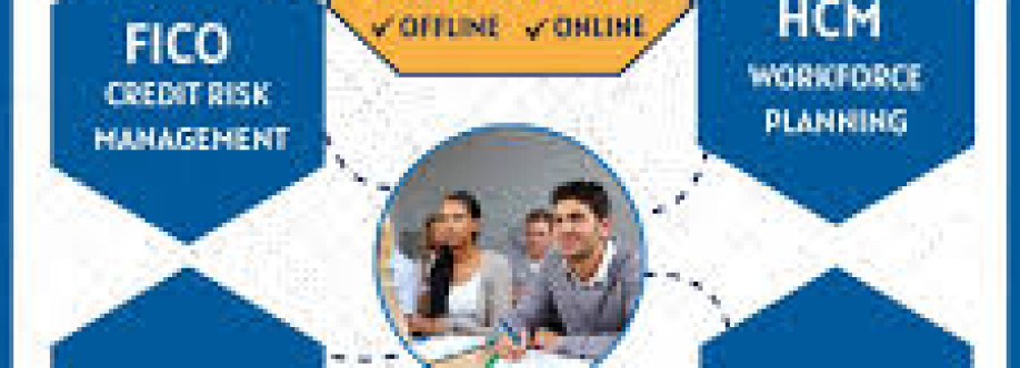 S.A.P institute in Ameerpet