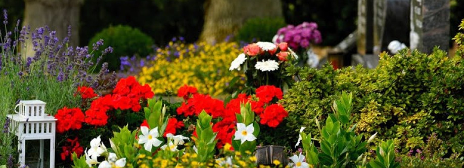 Najlepsze kwiaty na cmentarz bez podlewania – piękno, które trwa przez cały rok