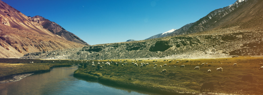 Romance Amidst the Himalayan Bliss